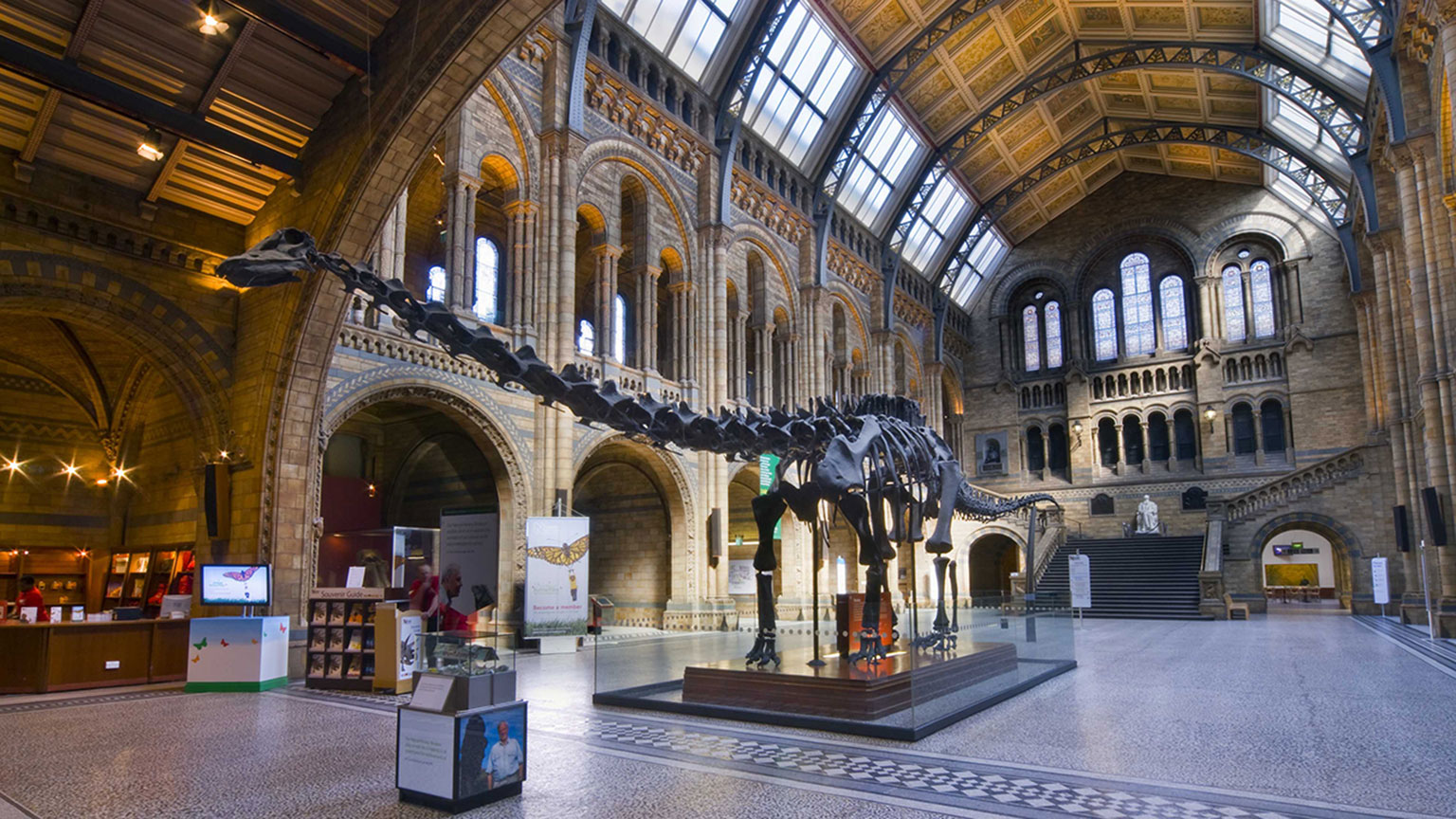 лондон музей естественной истории