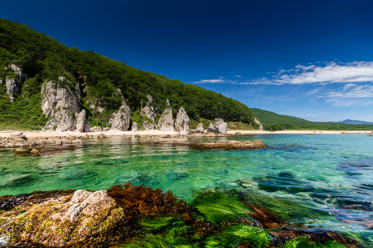 Лазовский заповедник приморский край фото Лазовский заповедник приморский край фото
