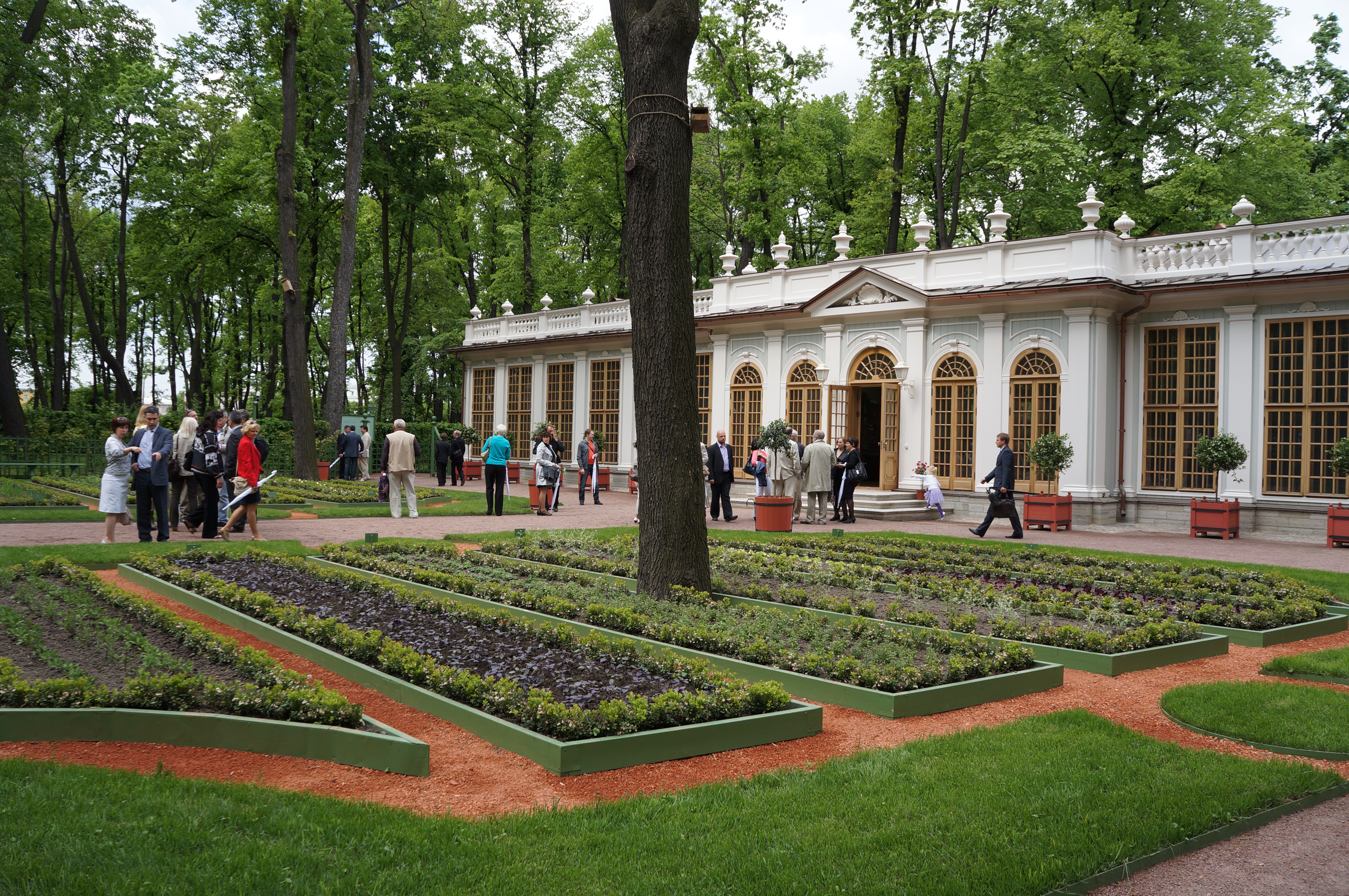 летний парк в питере