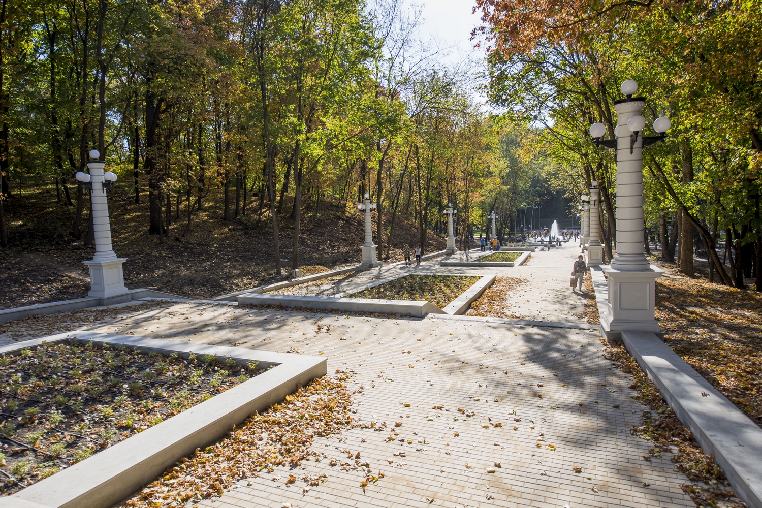 Парк динамо воронеж фото Парк динамо воронеж фото