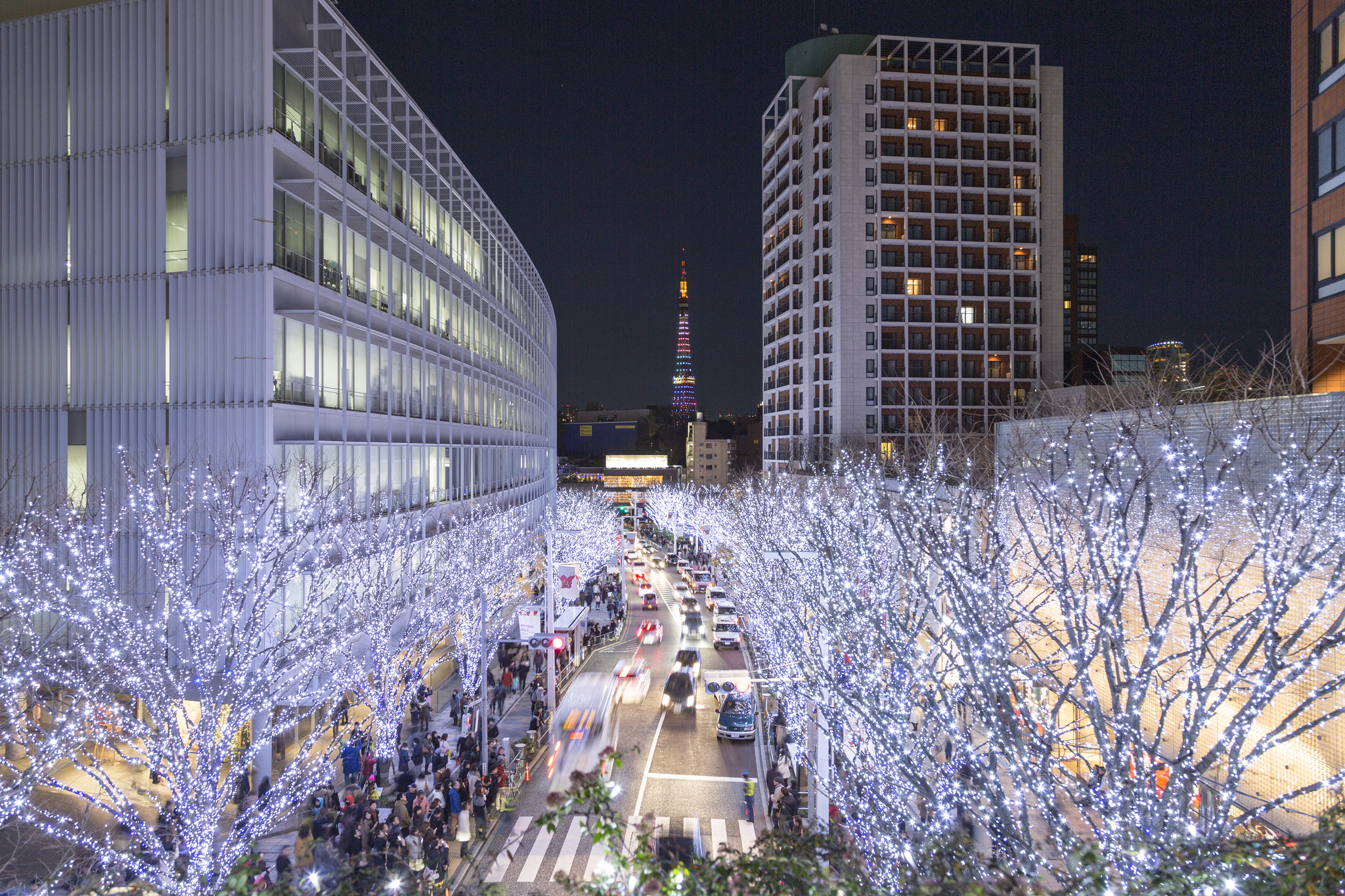 Один в городе: Токио после нового года