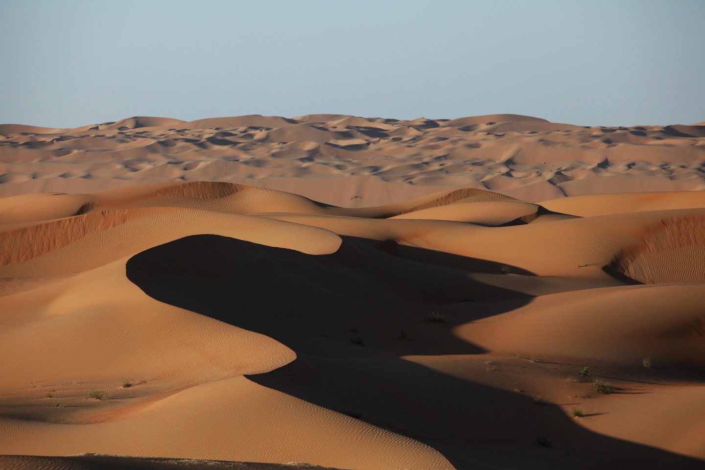 Desert many. Пустыня руб-Эль-Хали. Руб Эль Хали Дубай. Руб-Эль-Хали Абу-Даби дорога. Дубай пустыня.