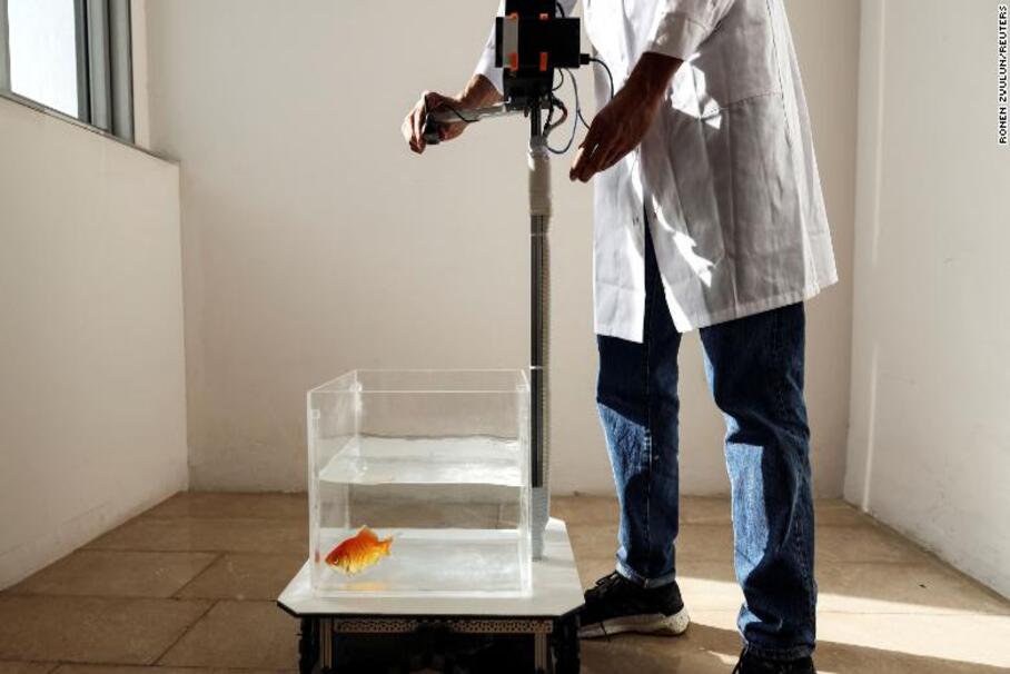 роботизированный аквариум
