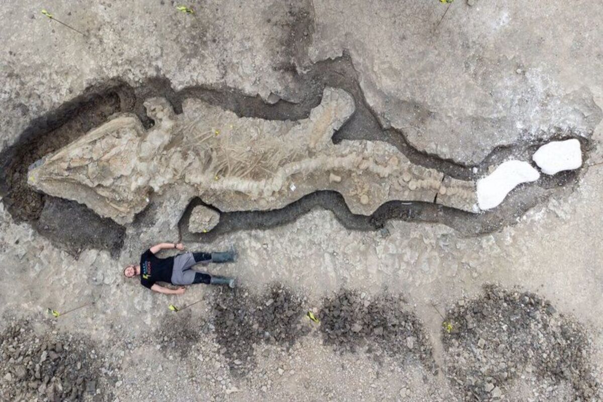 Доисторическая девушка замороженная 40 миллионов лет. Нашли останки драконов. Ученые нашли останки динозавра. Раскопки гигантских людей. Палеонтолог.