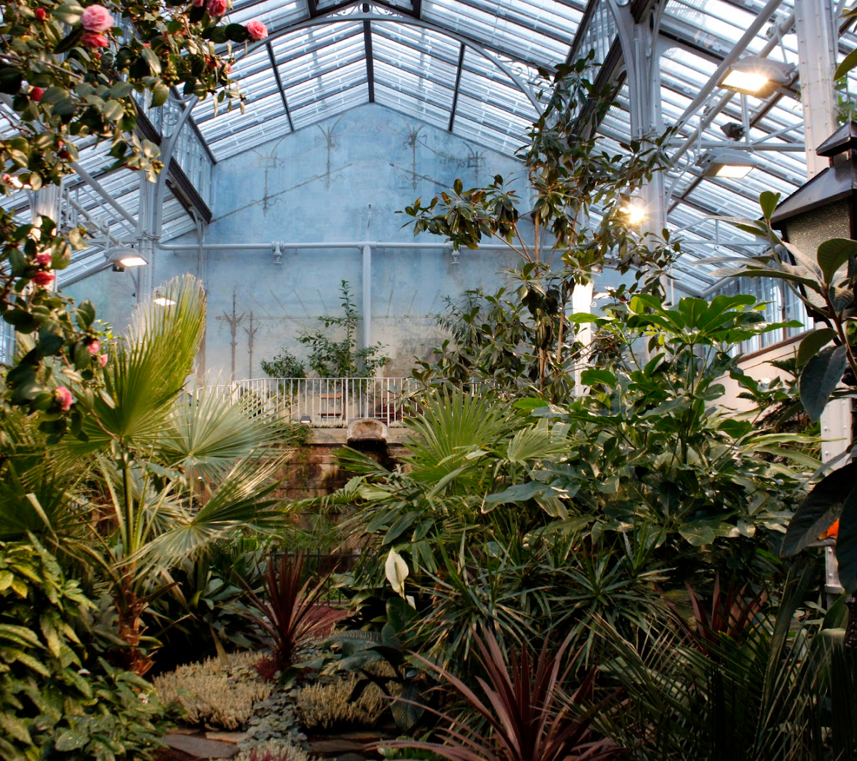 Winter Garden Хельсинки