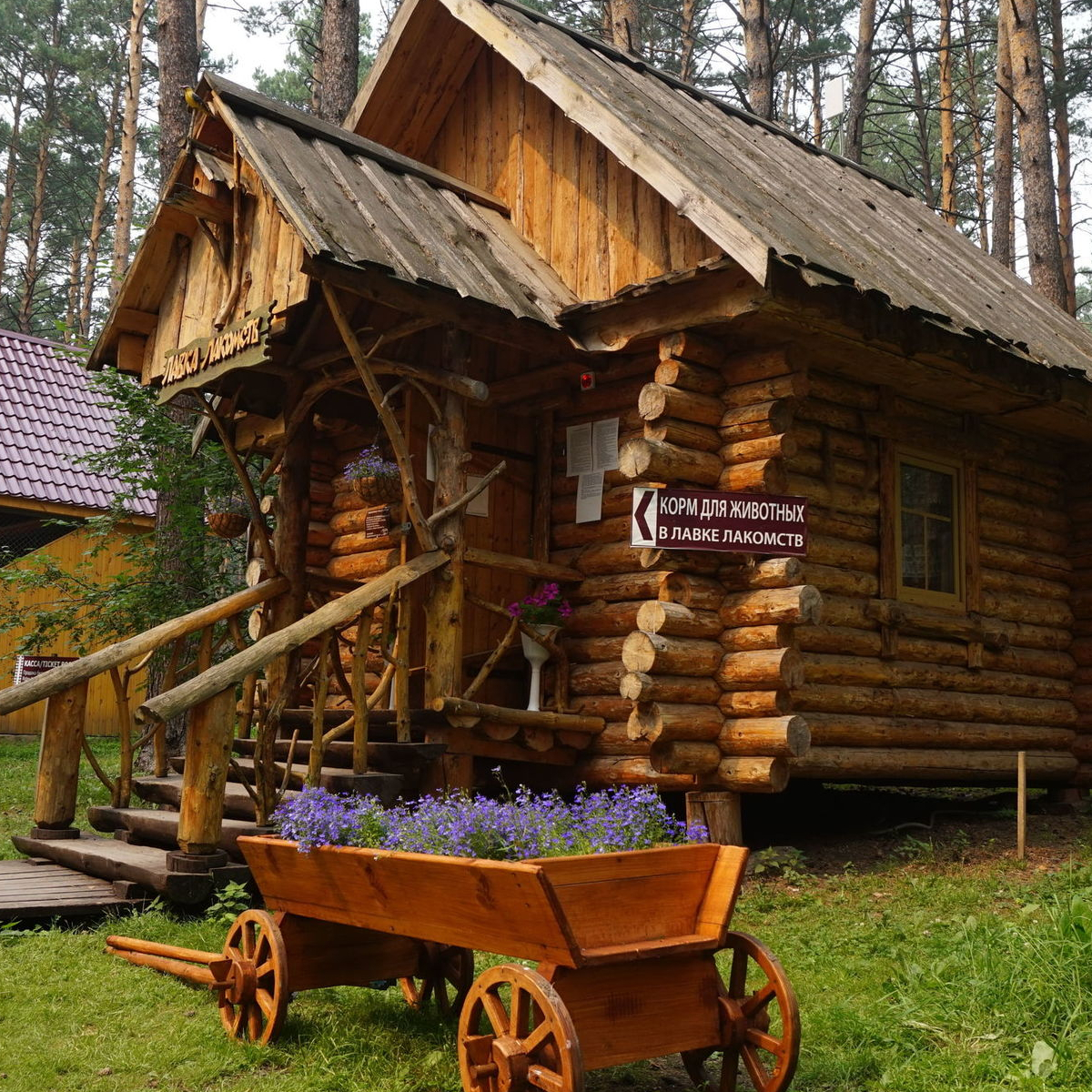 Томская писаница кемерово картинки