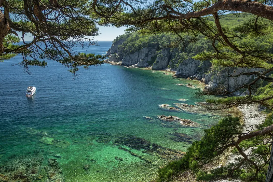 Сосны и бирюзовое Японское море. Тур «Максимум»