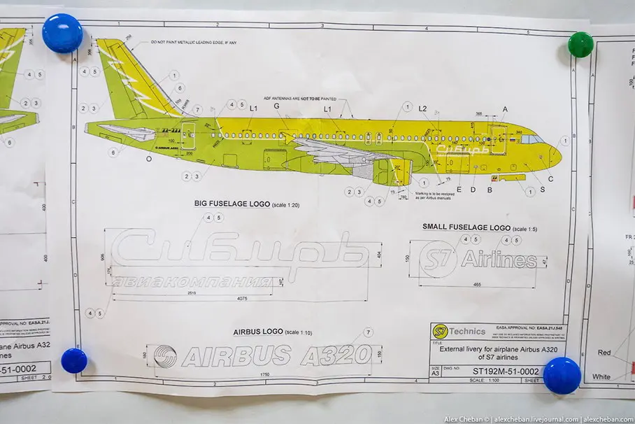 Мы — Сибирь. Зачем S7 Airlines вернула свое имя