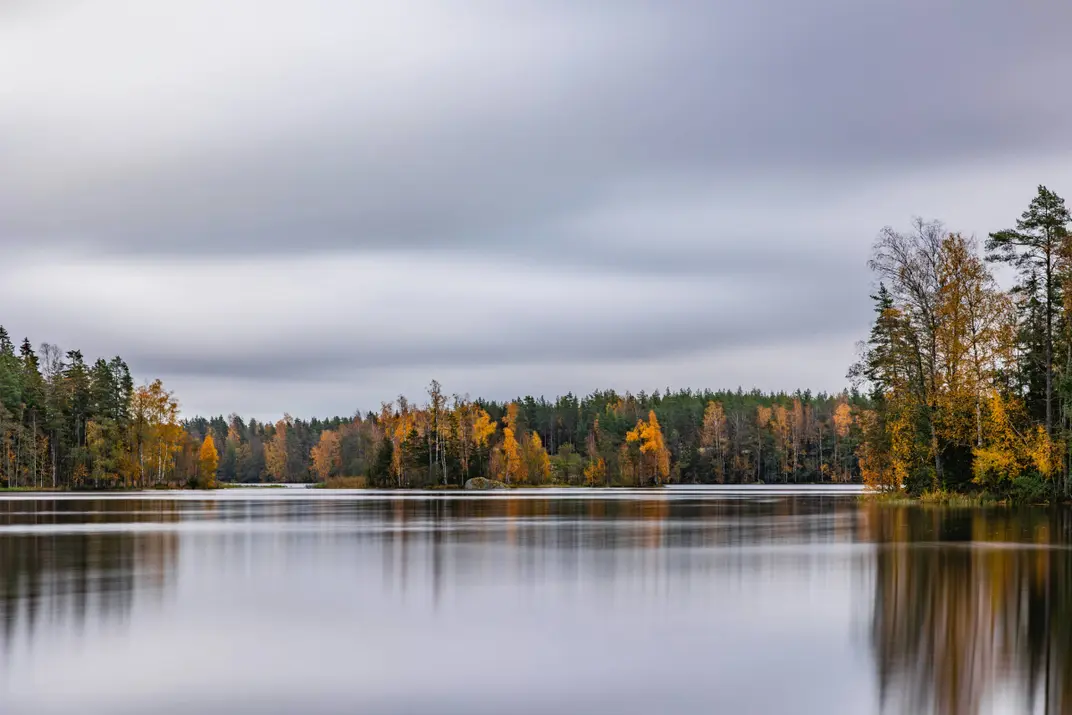 Forest Lake вид на озеро Высоцкое
