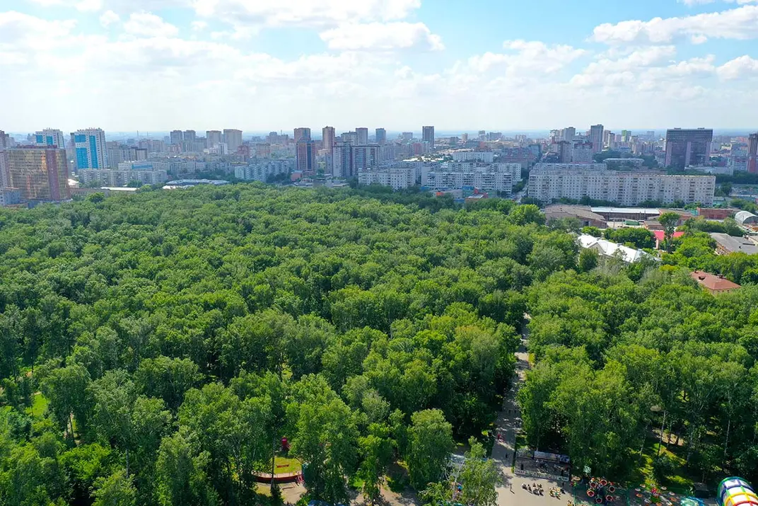 Парк Березовая роща в Новосибирске, вид сверху, аэроснимок