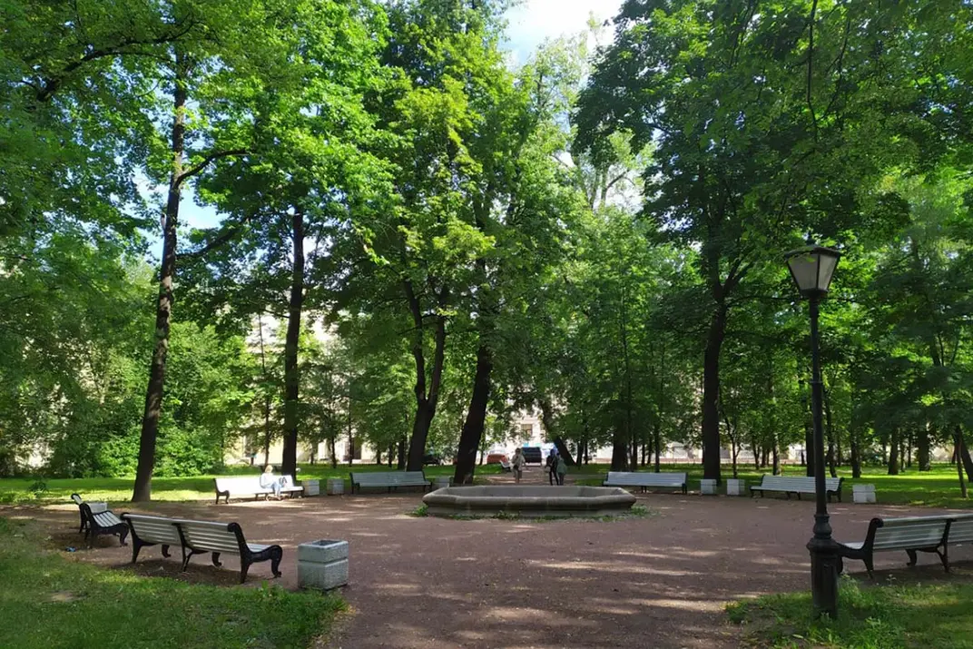 Тенистая аллея и мужчина на лавочке в Итальянском саду, санкт петербург