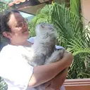 Какие породы собак можно перевозить в салоне самолета