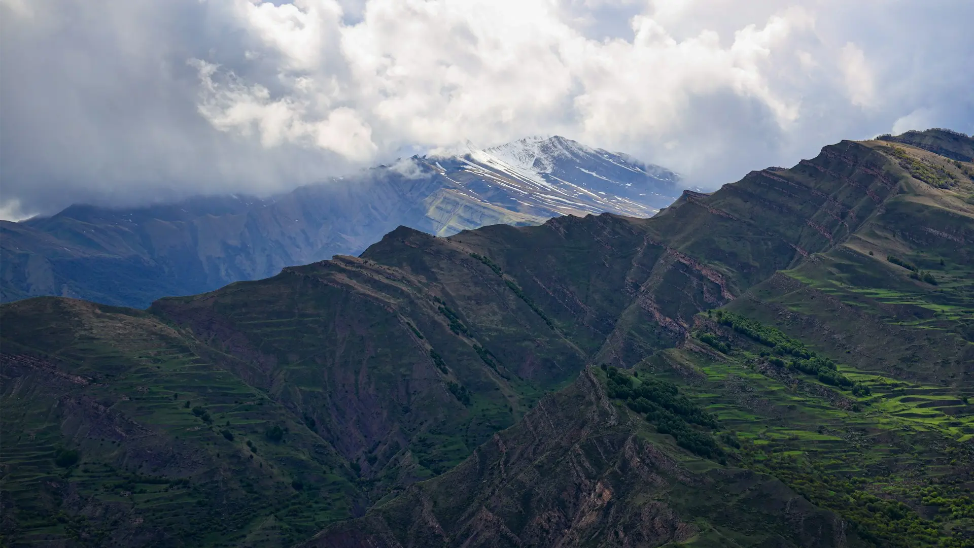 Живая древность