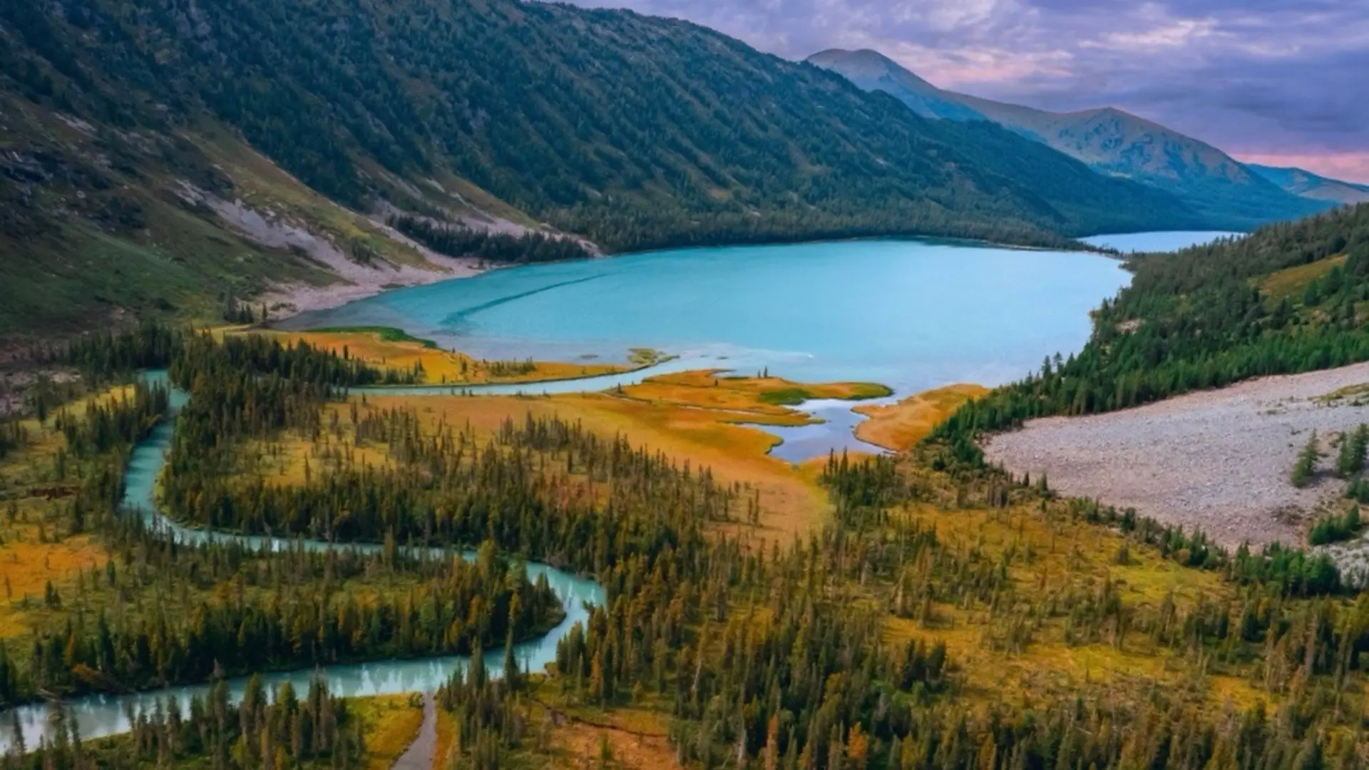 Ветер степей