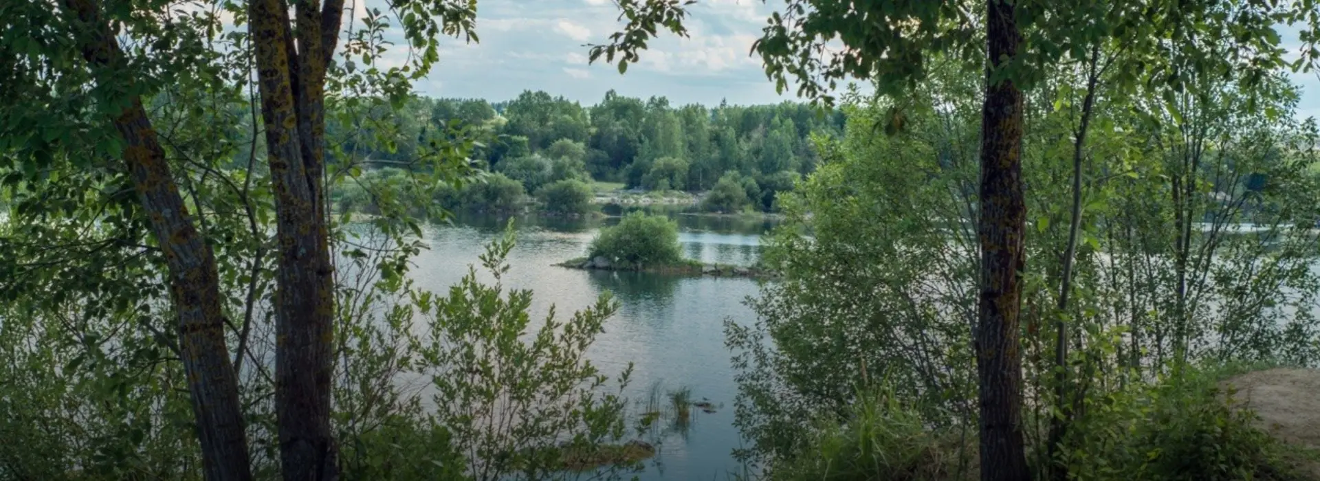 Курс на север