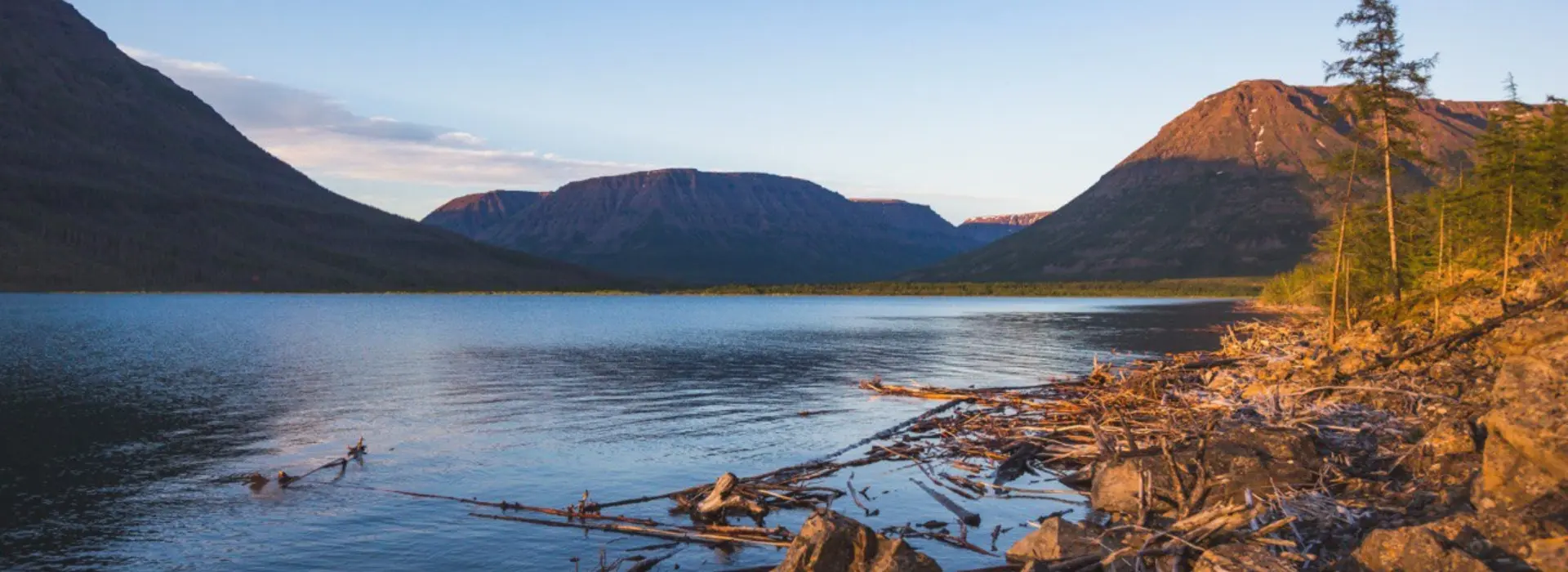 Мечты о плато