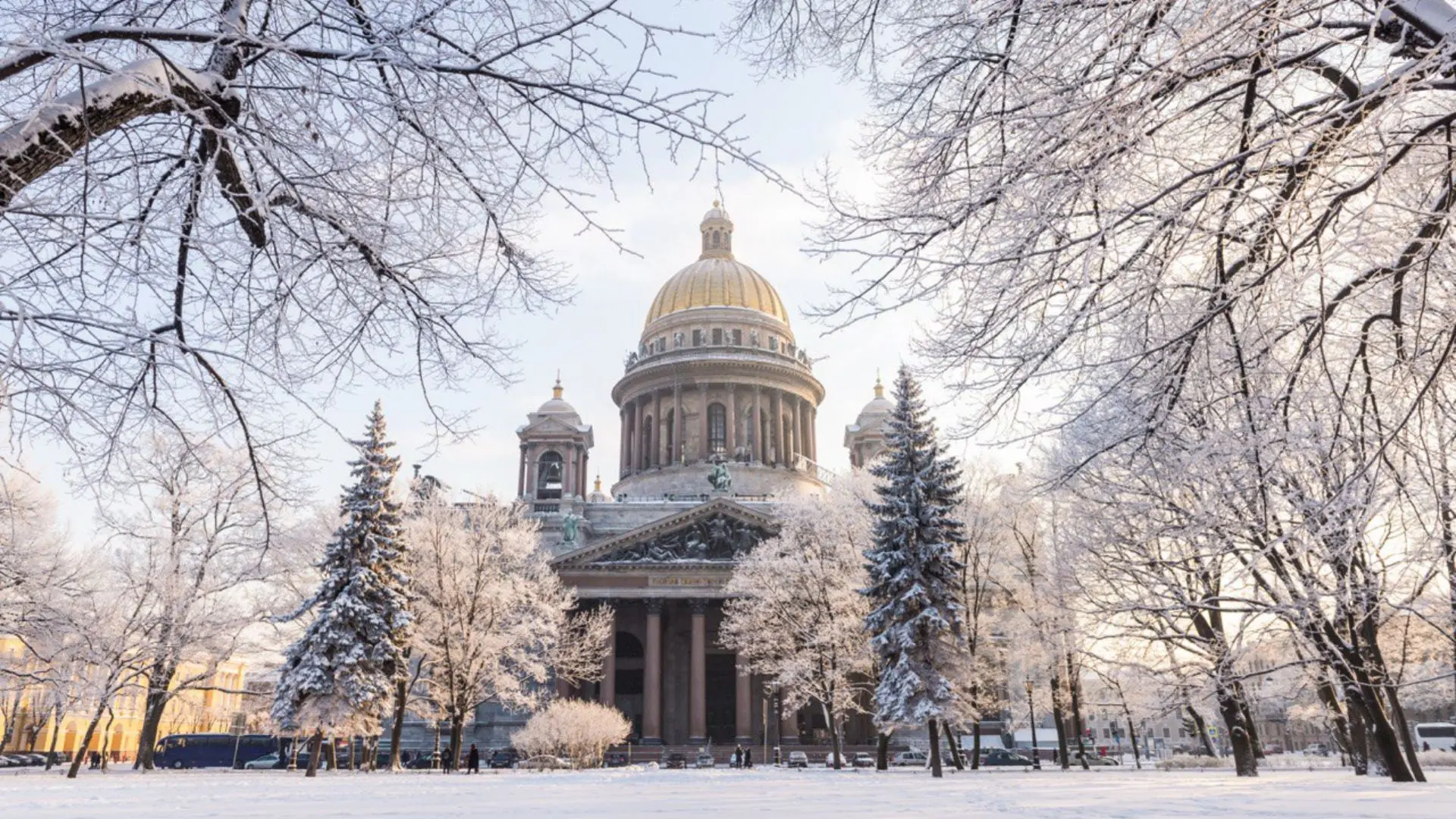 Петербург заряжает