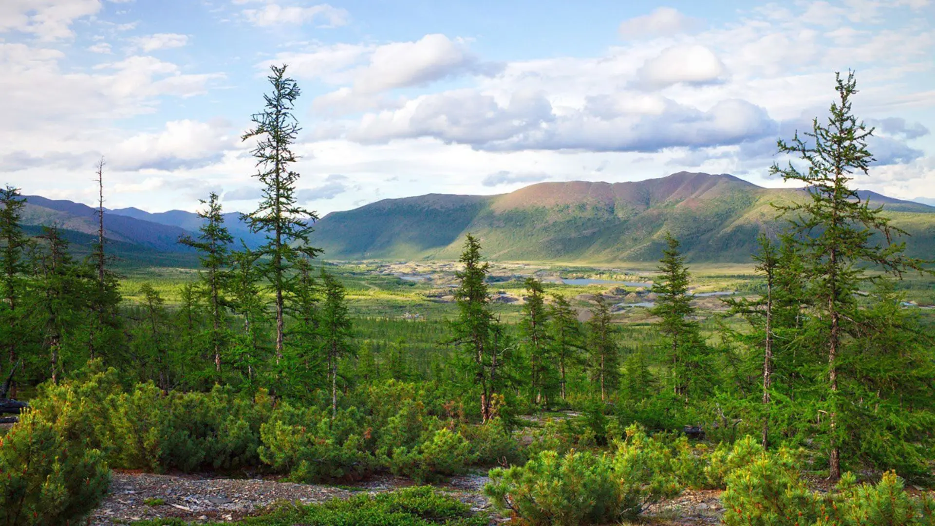 Чукотка за неделю