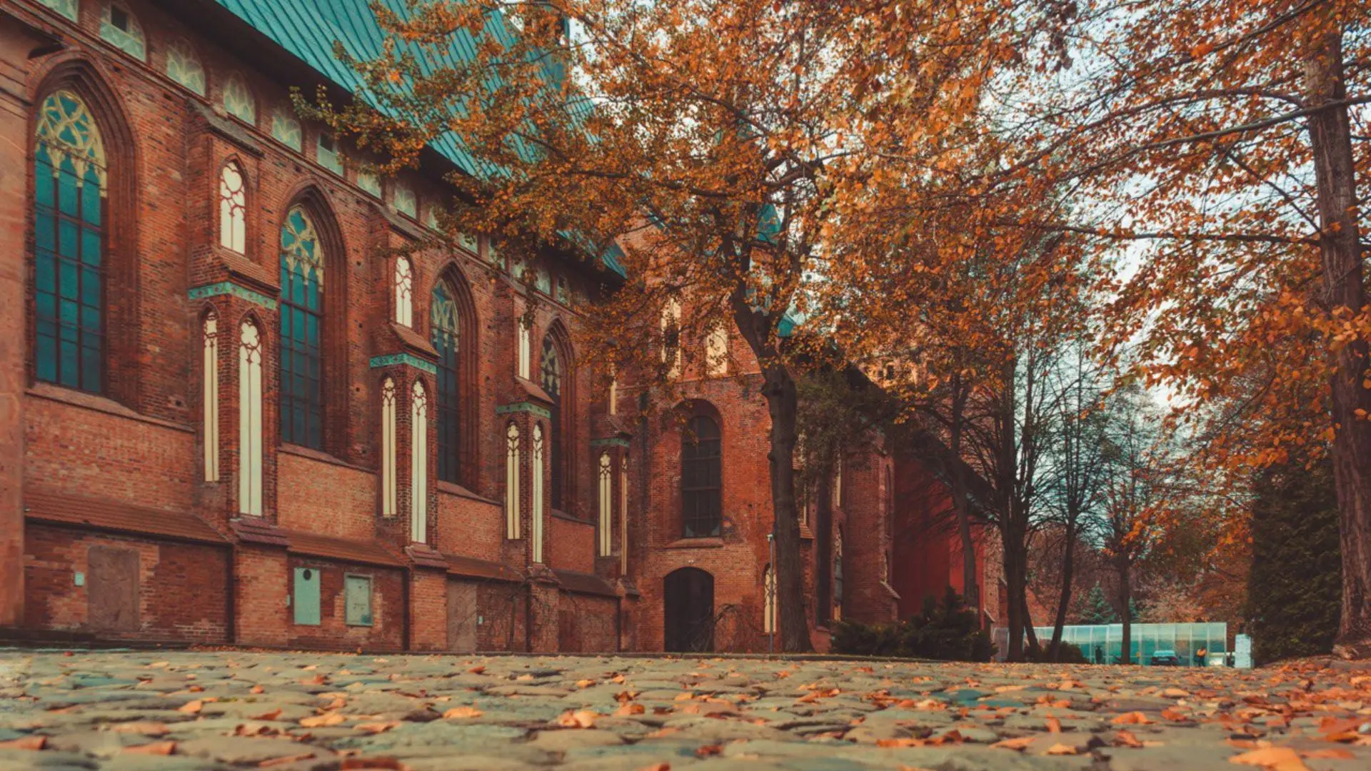 Камень и клопсы