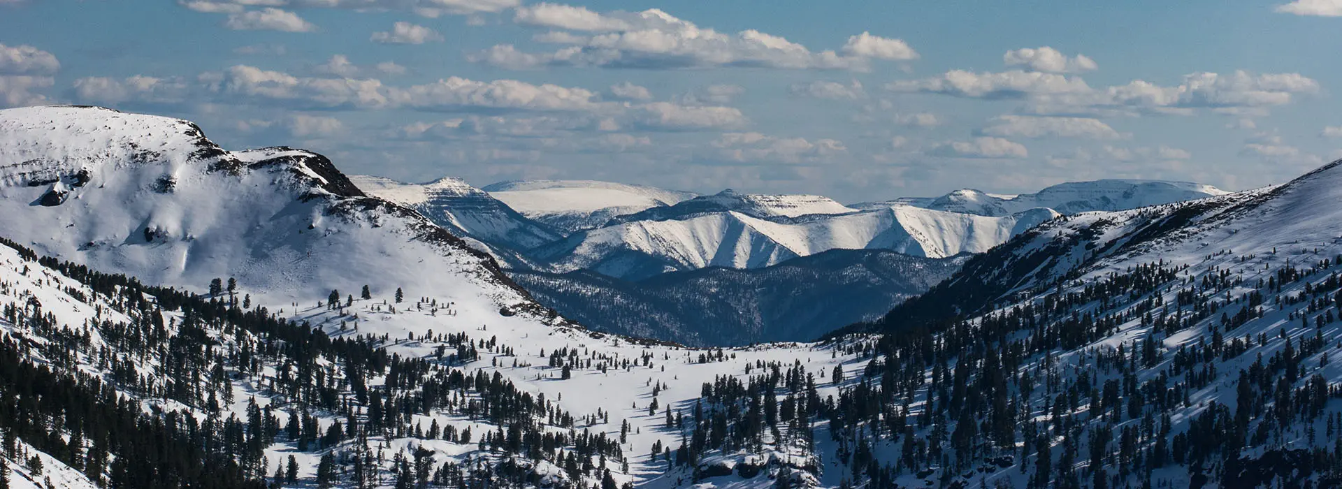 Всем навострить лыжи!