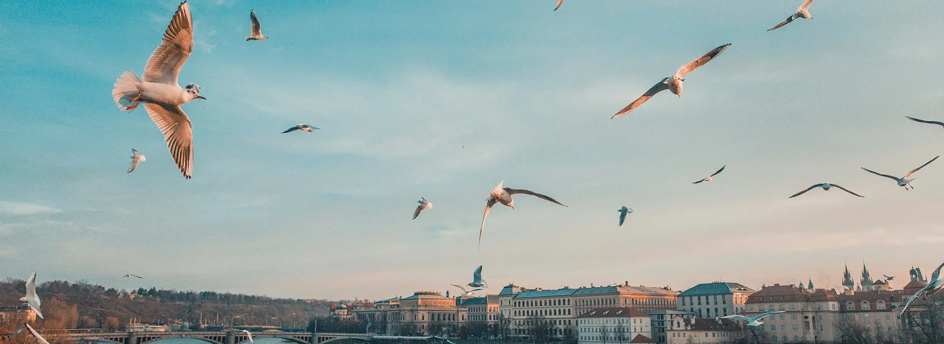 От Влтавы до Эльбы