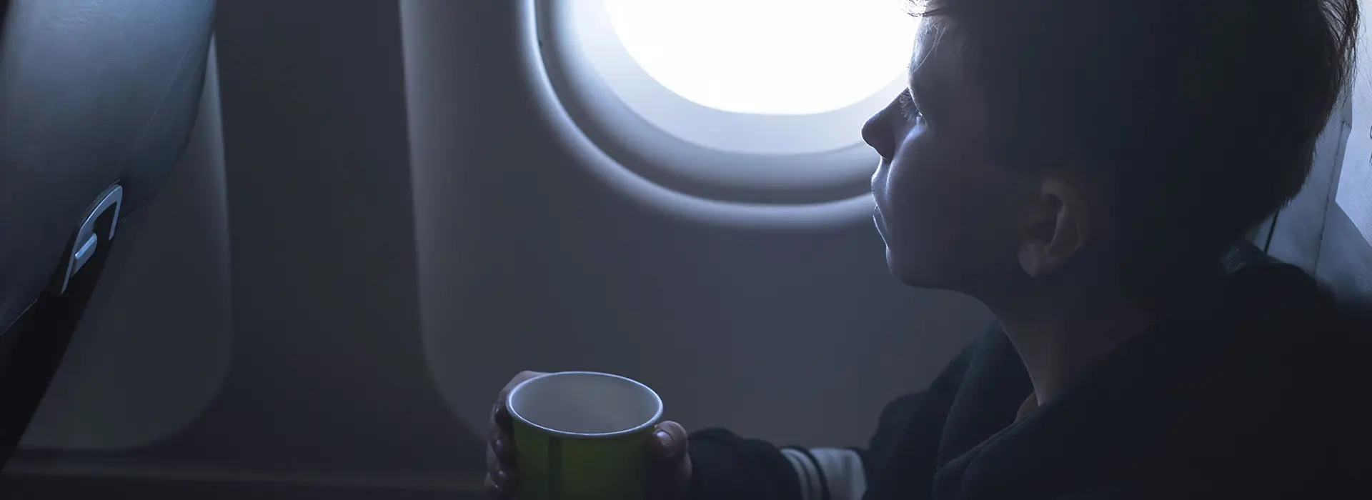 Ешь, летай, люби