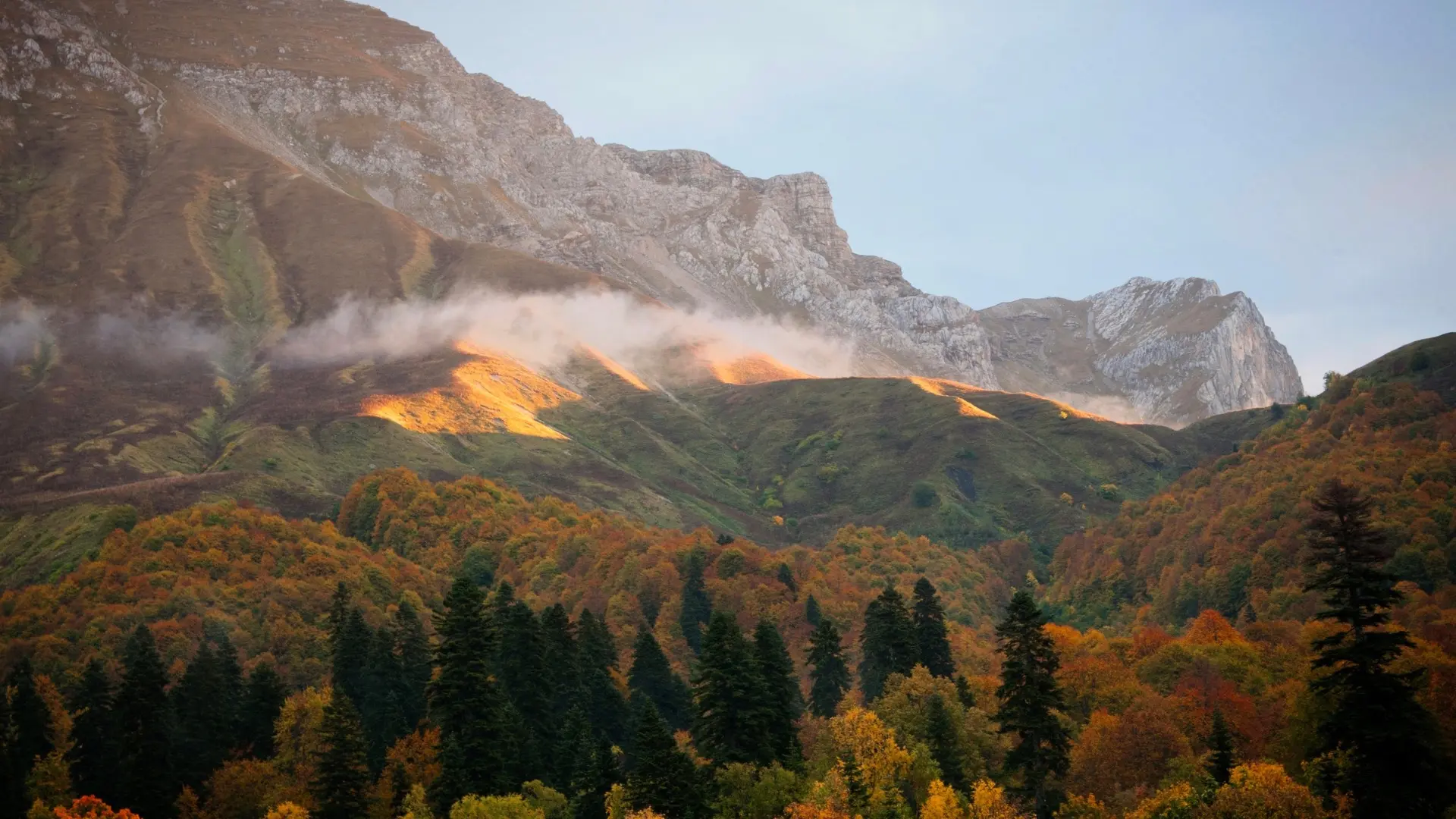 «Вас только двое»