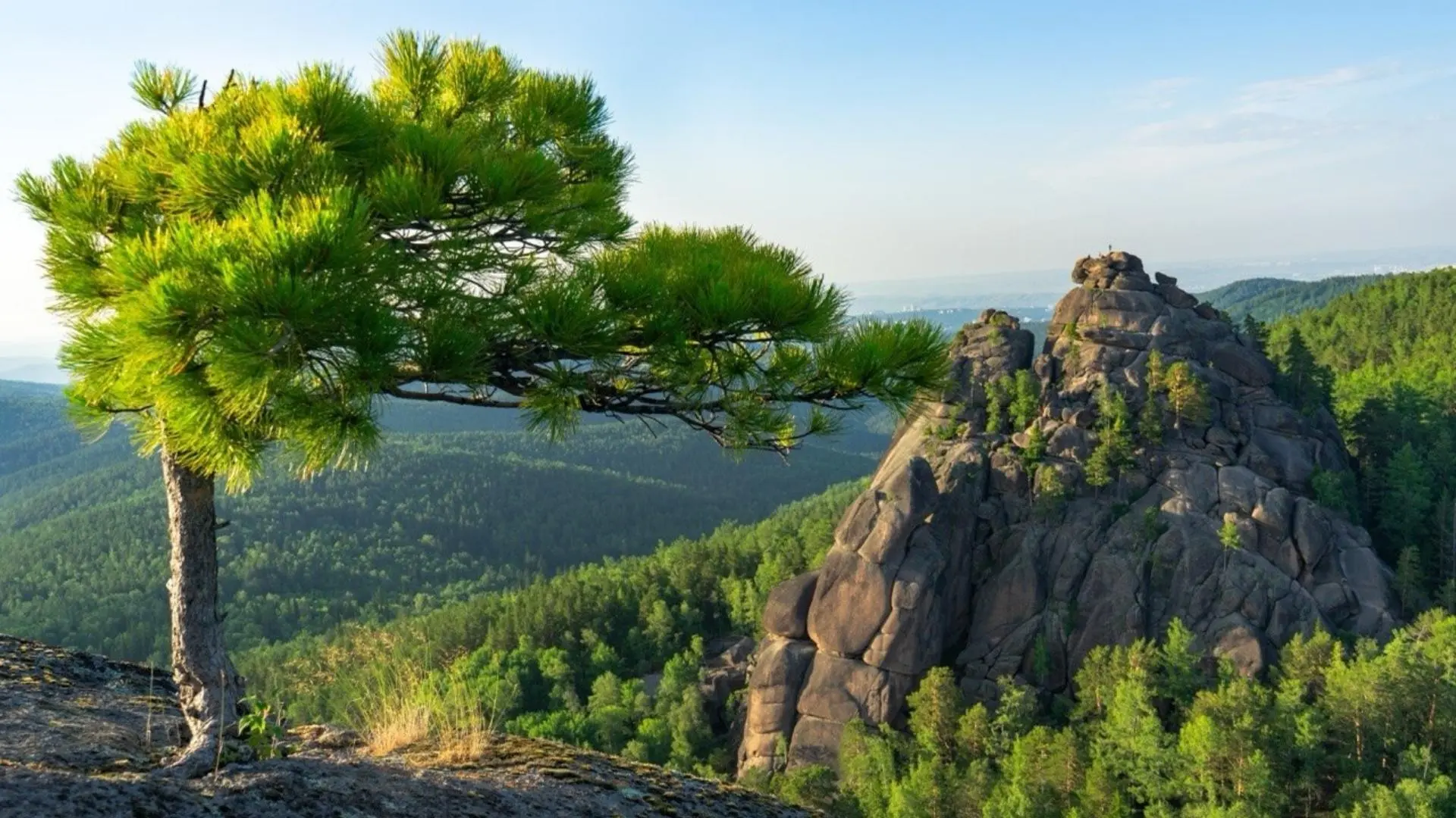 Вайбовый Красноярск