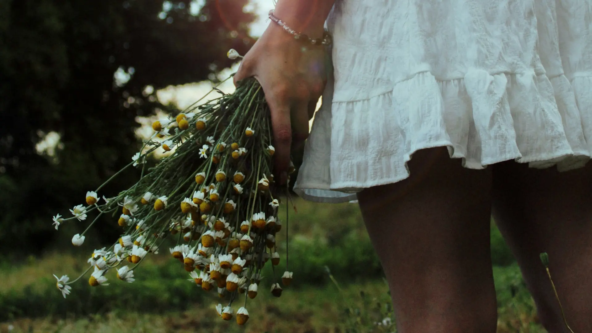 Сутки в Сыктывкаре