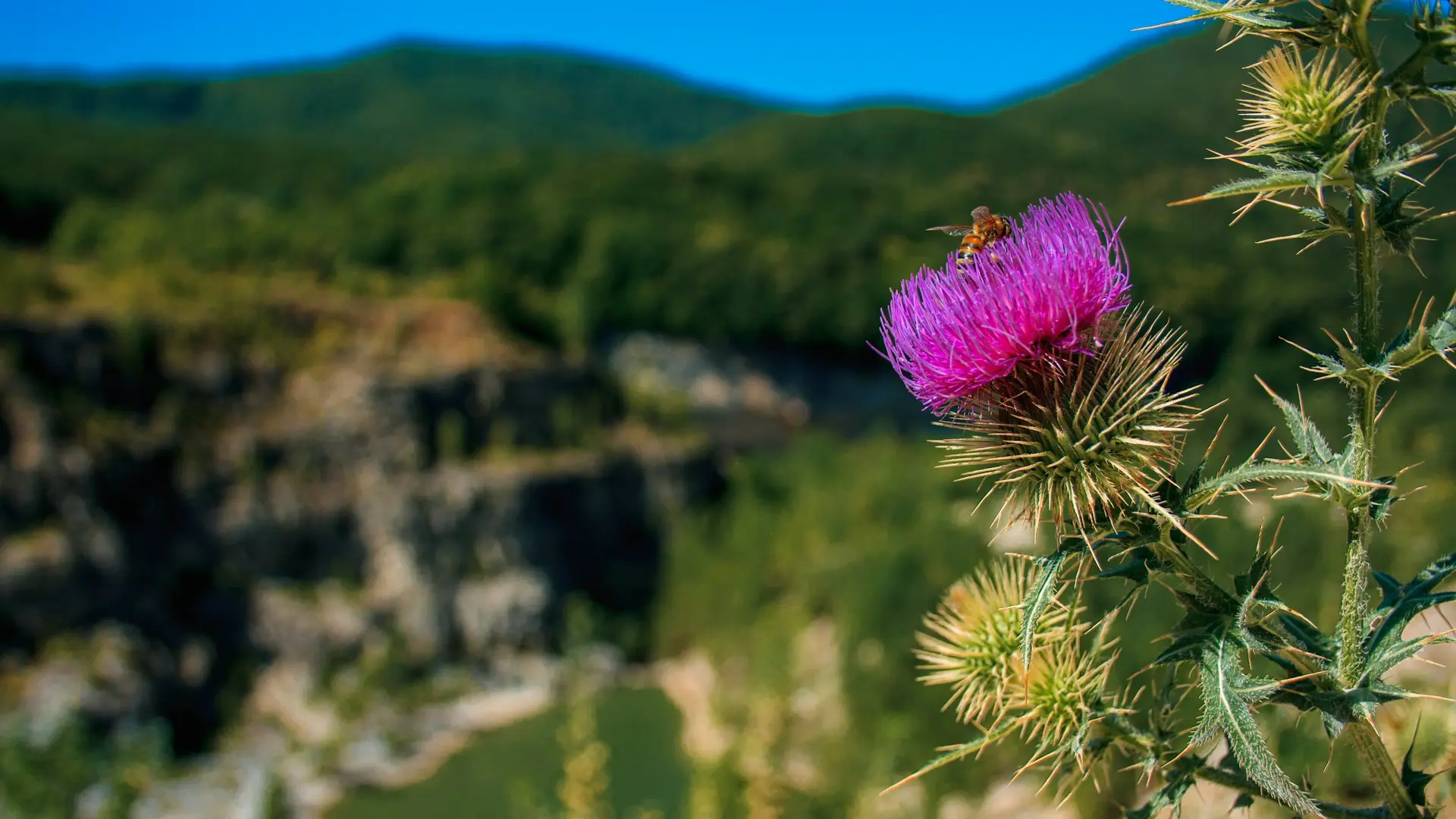 От китайской деревни до древней крепости