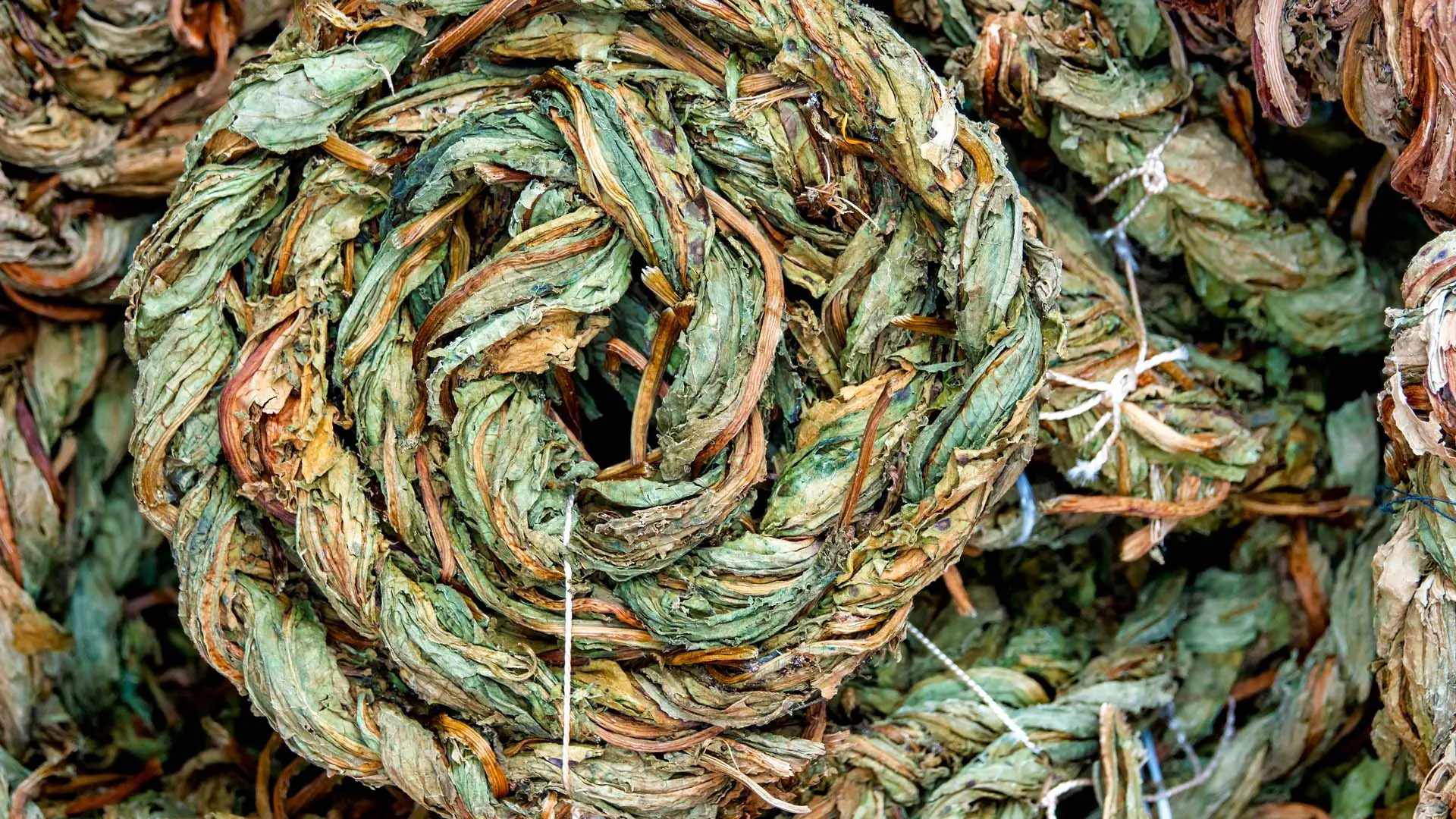 Кольца, щавель, две гаты