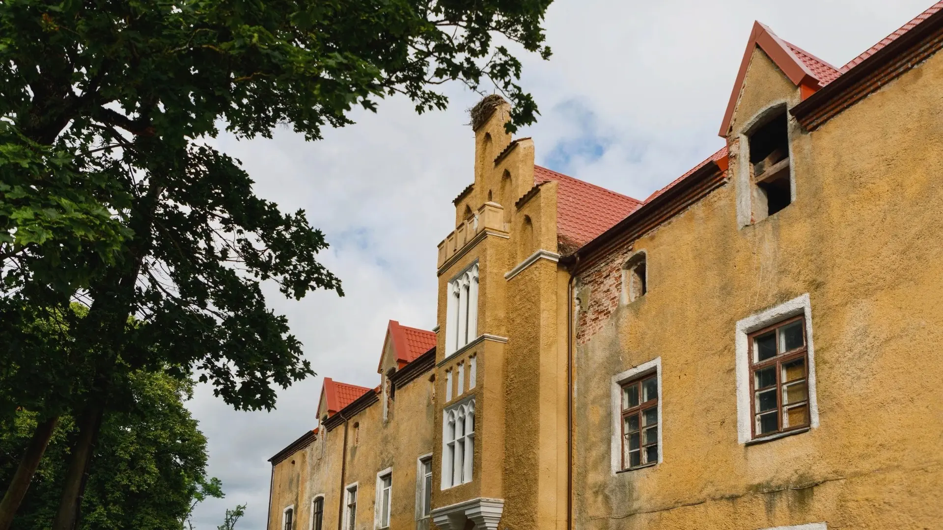 В поисках рыцарей