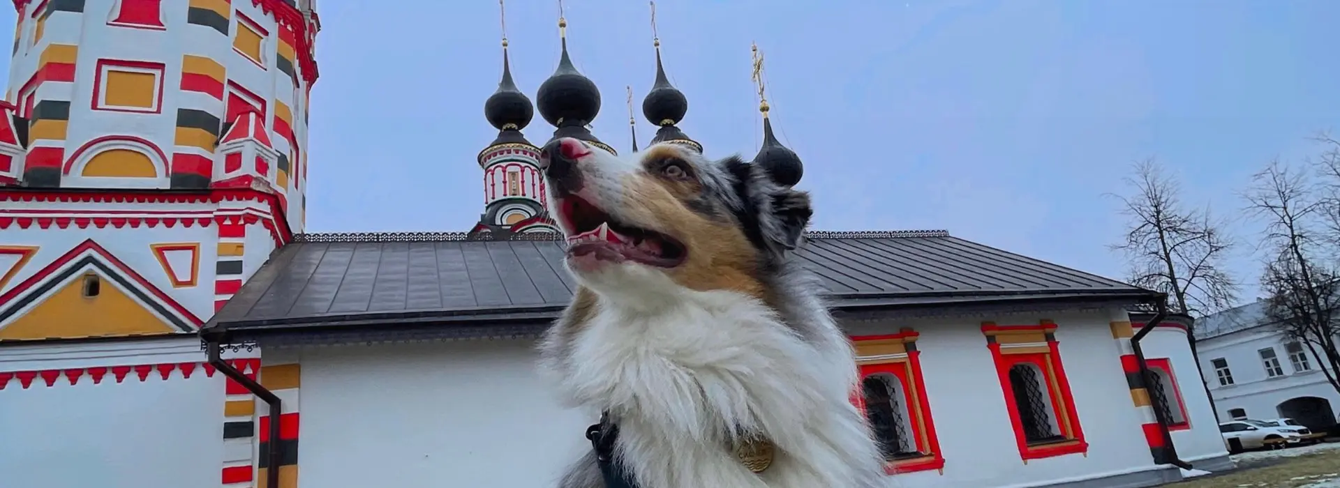 Сидней в Суздале? И такое возможно!