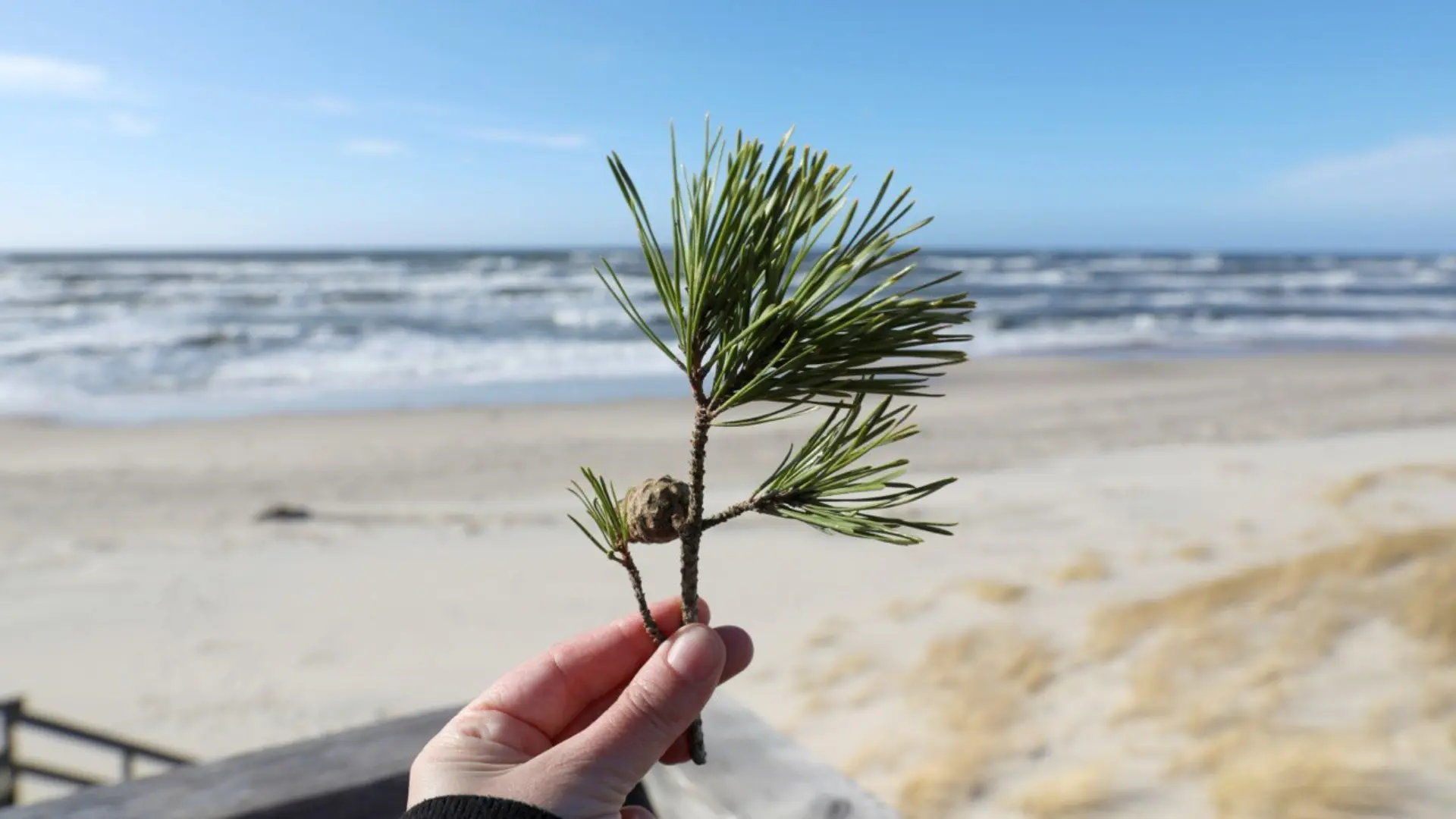 Крайняя точка России: Балтийская коса