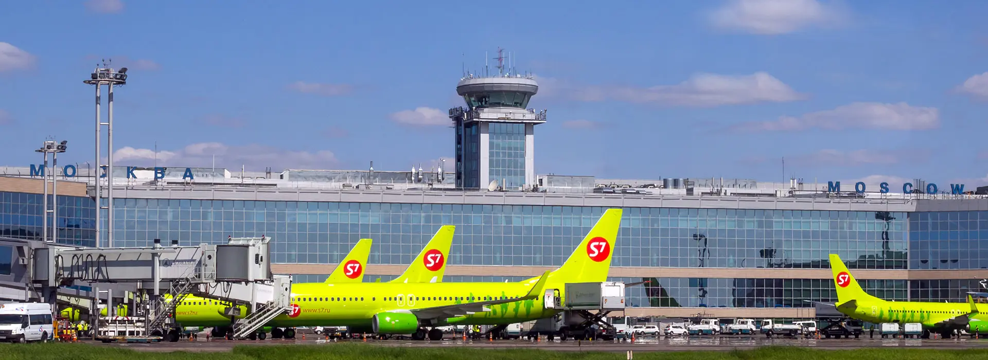 «Арбузы», «бабуины», «бобики»