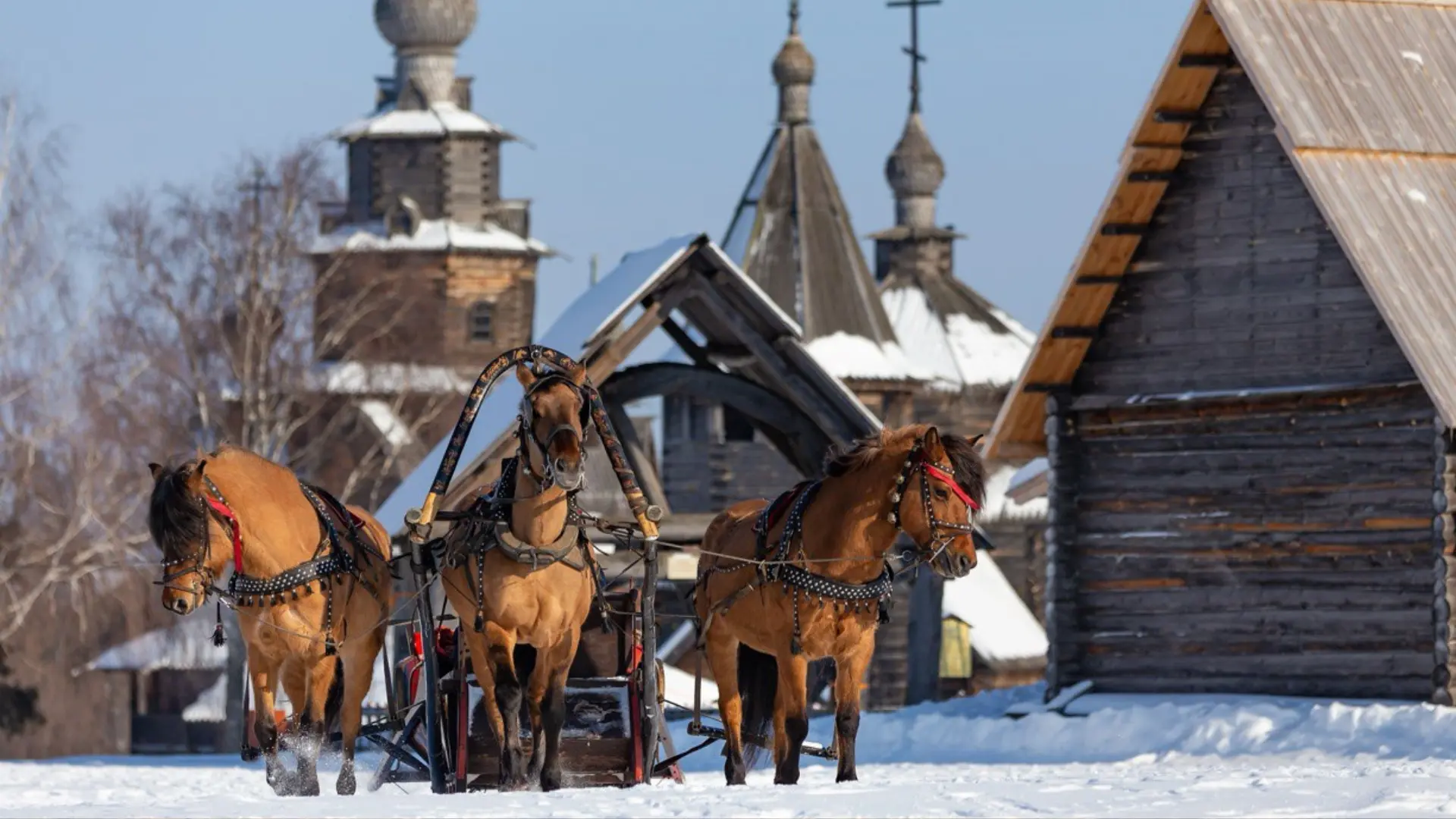 Суздаль сквозь века
