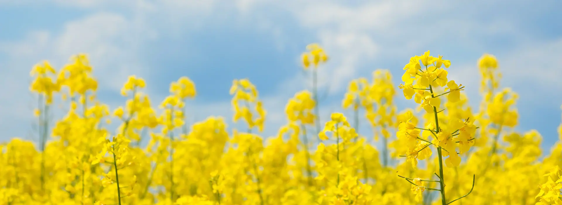 S7 вдохновляет