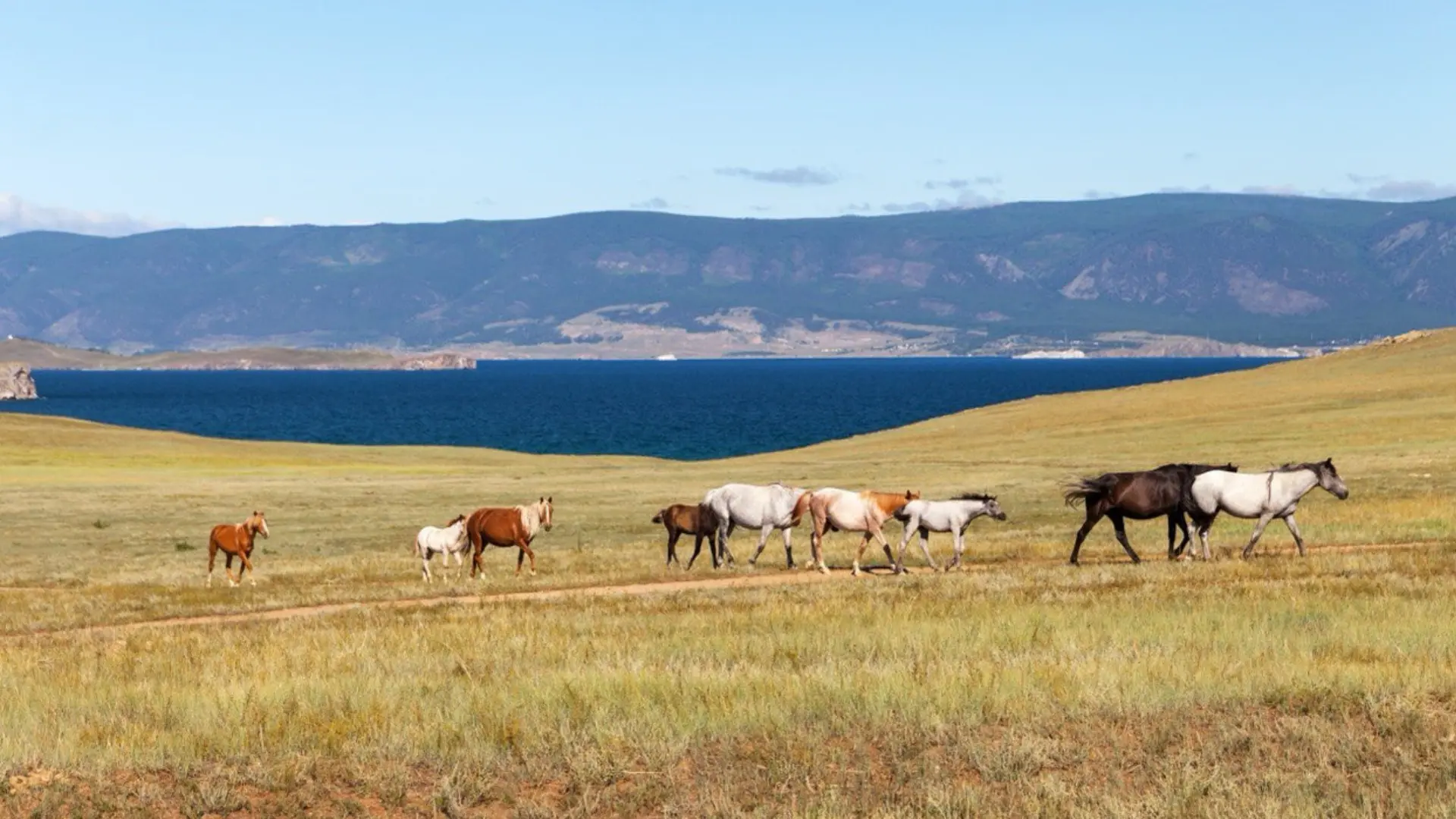 Байкал: перезагрузка
