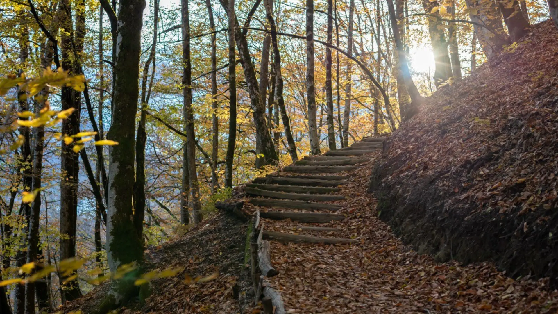 Три часа в горах