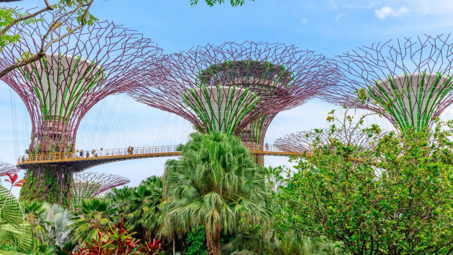 Львиное сердце Азии