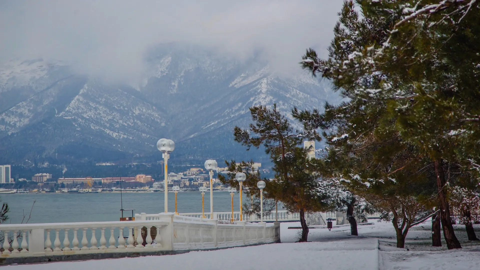 Мечтать в Геленджике