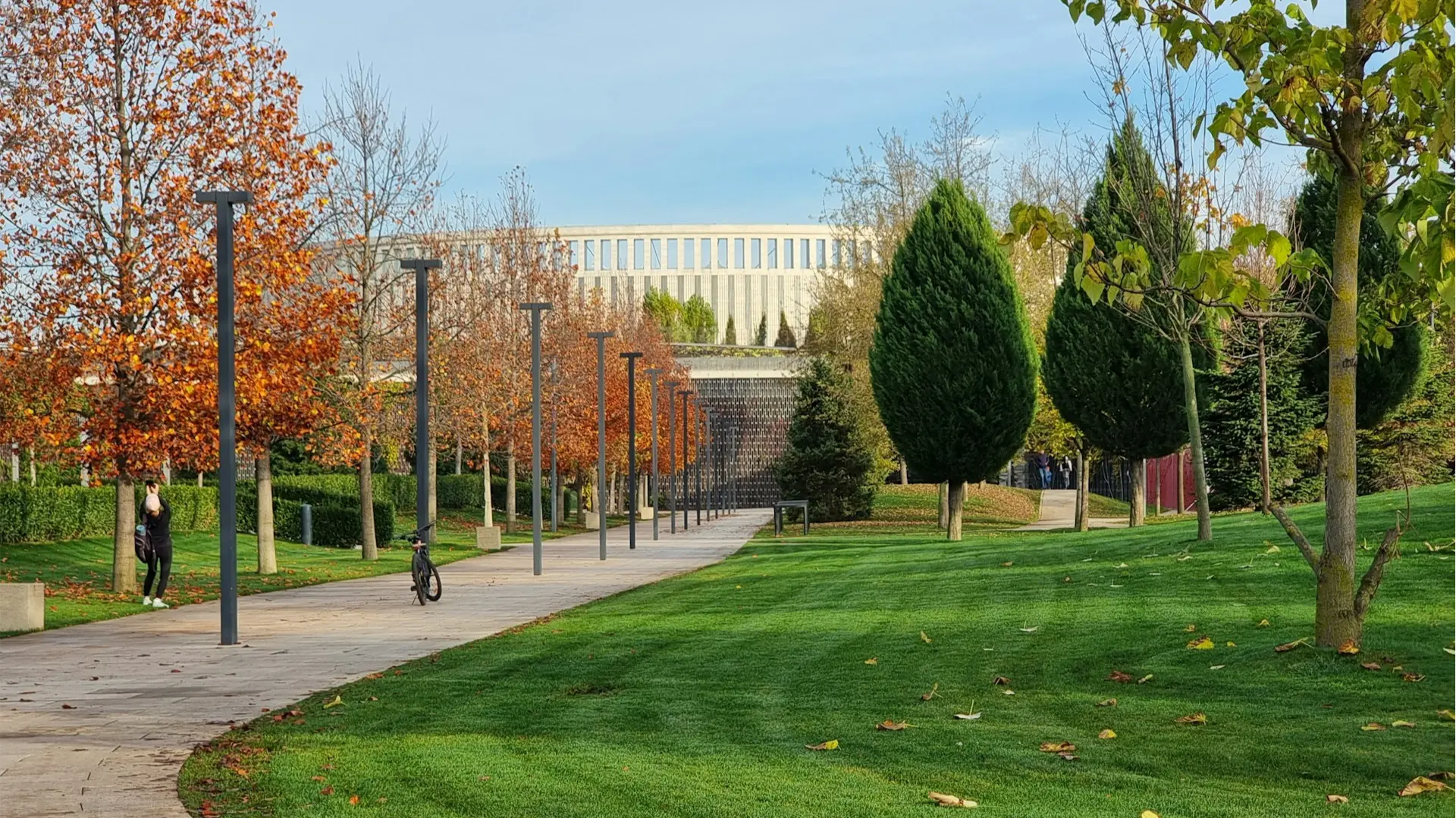 Галицкий-сэнсэй