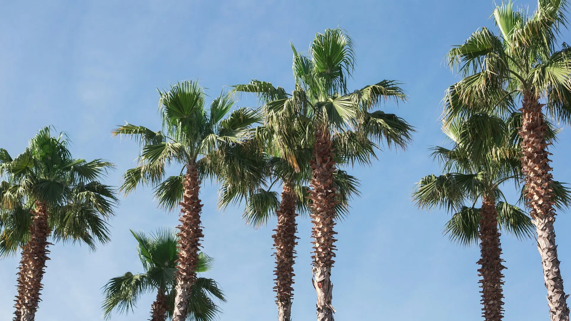 Отдых в Краснодарском крае