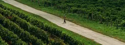 Энотуризм на Кубани — открываем искусство виноделов