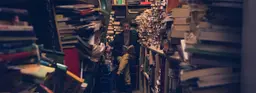Как устроены независимые книжные магазины России