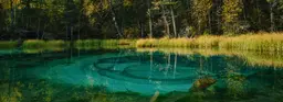Мой отдых на Алтае: глэмпинг, Гейзерное озеро и поездка по Чуйскому тракту