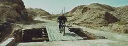 Фильм «Чёрный пёс» и философия нового китайского кино