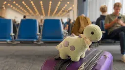 Подборка статей Gate 7 о путешествиях с детьми: отвечаем на самые частые вопросы родителей 