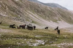 По ту сторону гор. Горнолыжный курорт Домбай на Кавказе