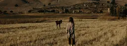 Интервью с главредом паблика Film Sense Султаном Усувалиевым 